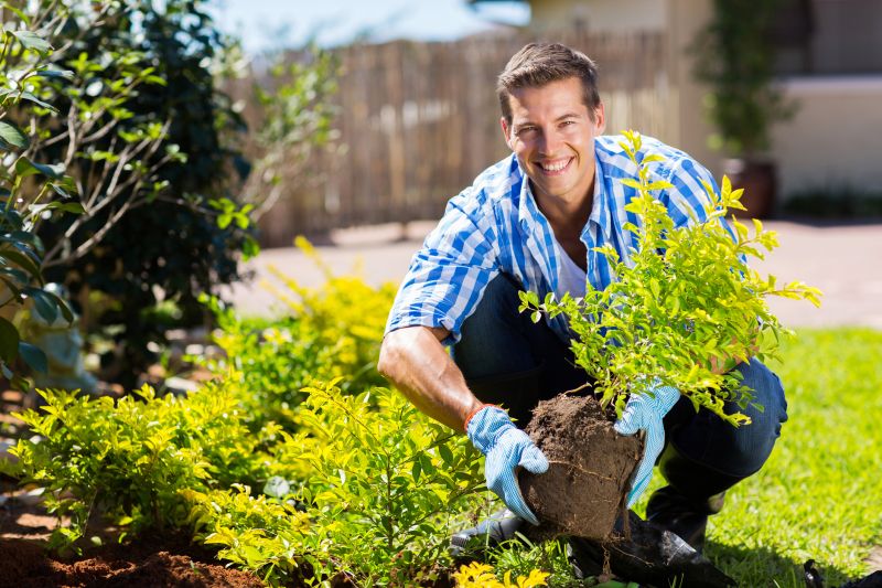 Bush Planting Service in Ventura County, CA