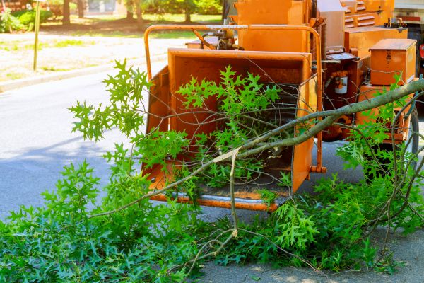 Grow your Tree Branches Removal business