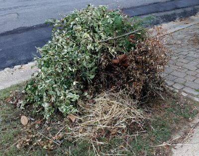 Lawn Debris Cleanup in Honolulu, HI