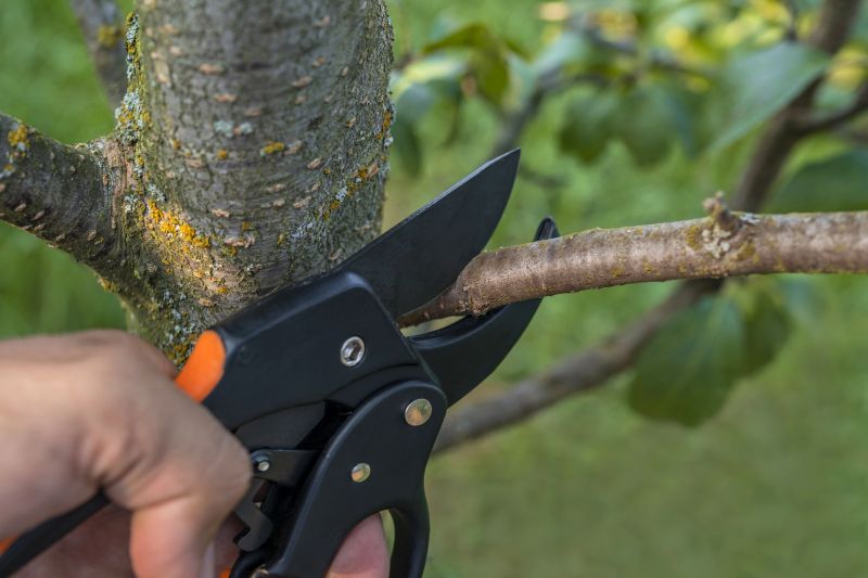 Spring Pruning Benefits