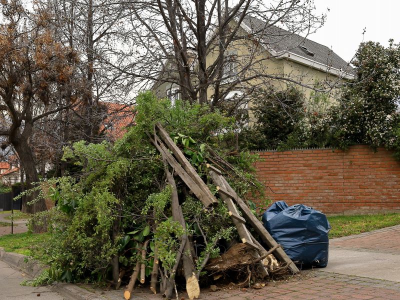 Yard Debris Removal in Honolulu, HI